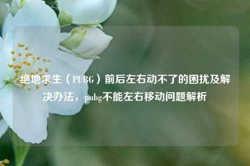 绝地求生(PUBG)前后左右动不了的困扰及解决办法,pubg不能左右移动问题解析