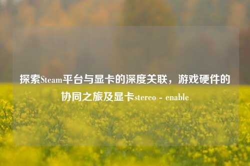 探索Steam平台与显卡的深度关联,游戏硬件的协同之旅及显卡stereo - enable