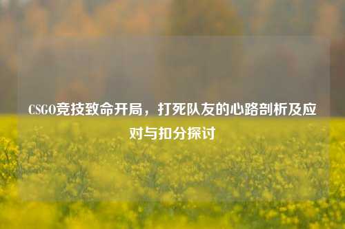 CSGO竞技致命开局,打死队友的心路剖析及应对与扣分探讨