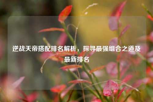 逆战天帝搭配排名解析,探寻最强组合之道及最新排名