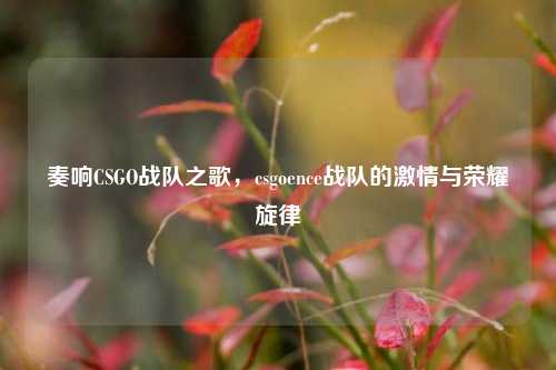 奏响CSGO战队之歌,csgoence战队的激情与荣耀旋律