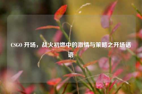 CSGO 开场，战火初燃中的激情与策略之开场话语