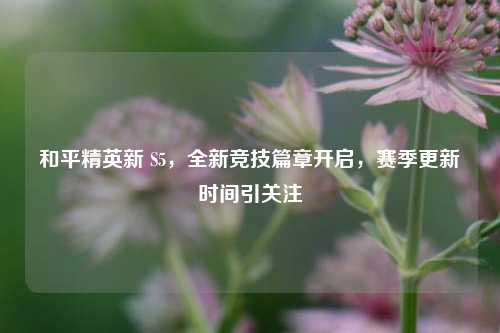 和平精英新 S5,全新竞技篇章开启,赛季更新时间引关注