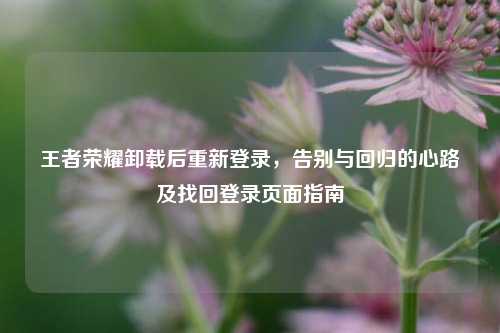 王者荣耀卸载后重新登录，告别与回归的心路及找回登录页面指南