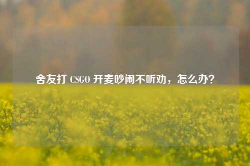 舍友打 CSGO 开麦吵闹不听劝,怎么办?