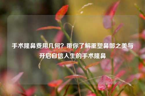 手术隆鼻费用几何？带你了解重塑鼻部之美与开启自信人生的手术隆鼻