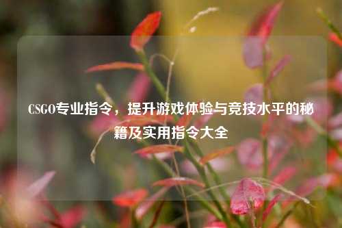 CSGO专业指令，提升游戏体验与竞技水平的秘籍及实用指令大全