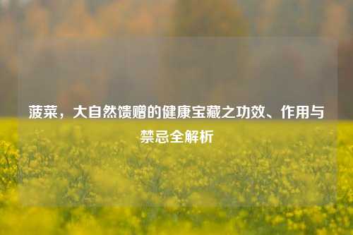 菠菜,大自然馈赠的健康宝藏之功效、作用与禁忌全解析