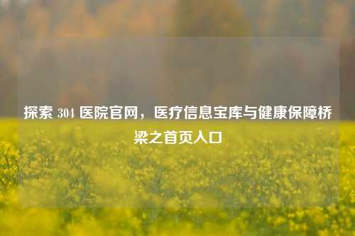 探索 304 医院官网，医疗信息宝库与健康保障桥梁之首页入口