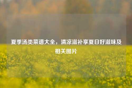 夏季汤类菜谱大全,清凉滋补享夏日好滋味及相关图片