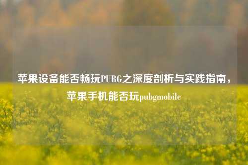 苹果设备能否畅玩PUBG之深度剖析与实践指南,苹果手机能否玩pubgmobile