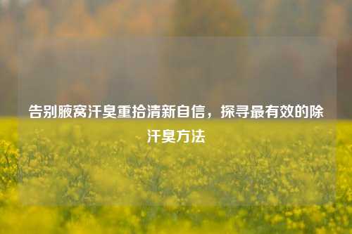 告别腋窝汗臭重拾清新自信,探寻最有效的除汗臭方法