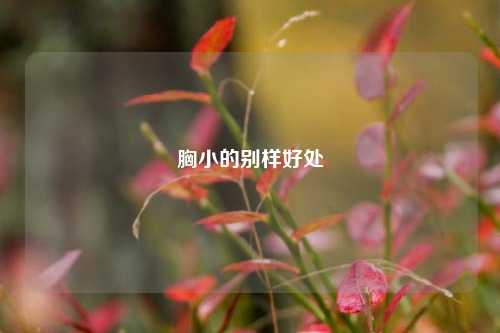 胸小的别样好处