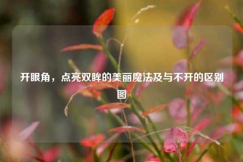 开眼角,点亮双眸的美丽魔法及与不开的区别图