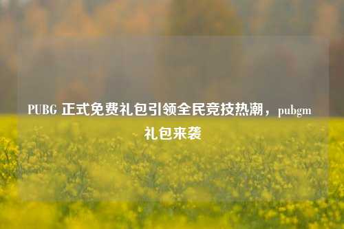 PUBG 正式免费礼包引领全民竞技热潮，pubgm 礼包来袭