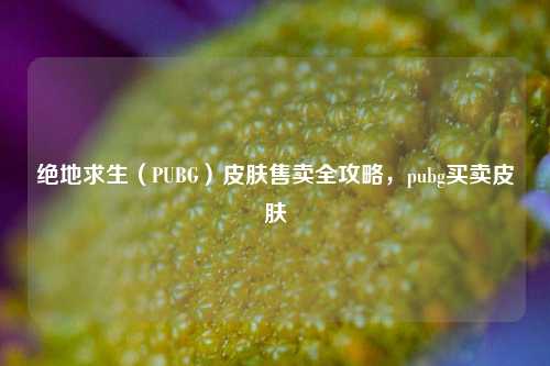 绝地求生（PUBG）皮肤售卖全攻略，pubg买卖皮肤