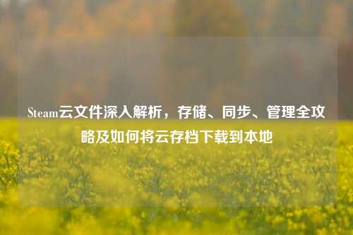 Steam云文件深入解析,存储、同步、管理全攻略及如何将云存档下载到本地