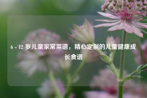 6 - 12 岁儿童家常菜谱,精心定制的儿童健康成长食谱