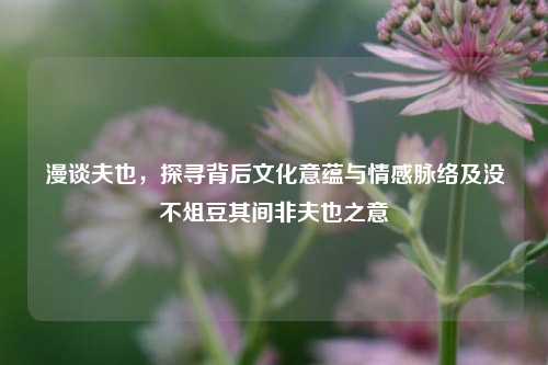 漫谈夫也,探寻背后文化意蕴与情感脉络及没不俎豆其间非夫也之意