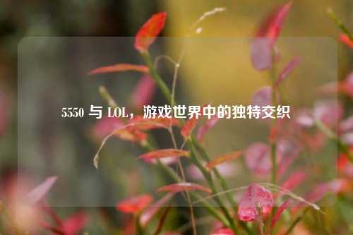 5550 与 LOL，游戏世界中的独特交织