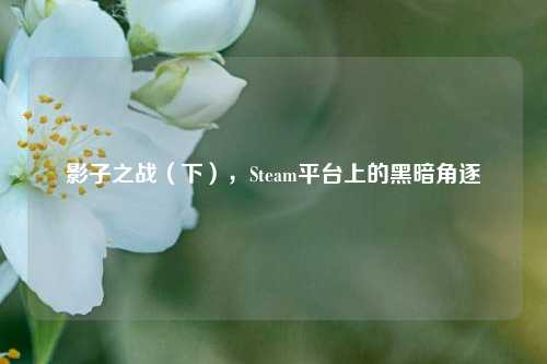 影子之战(下),Steam平台上的黑暗角逐