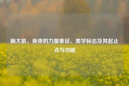 胸大肌,身体的力量象征、美学标志及其起止点与功能