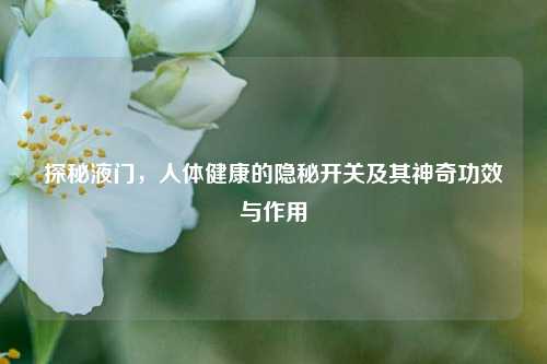 探秘液门,人体健康的隐秘开关及其神奇功效与作用