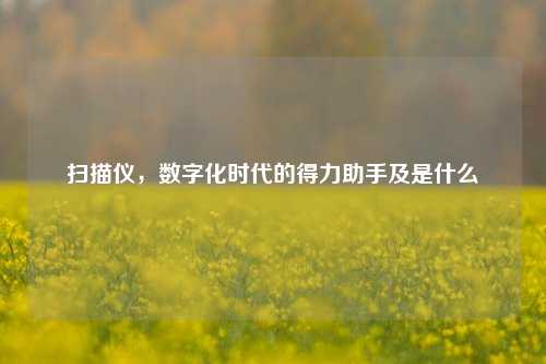 扫描仪，数字化时代的得力助手及是什么