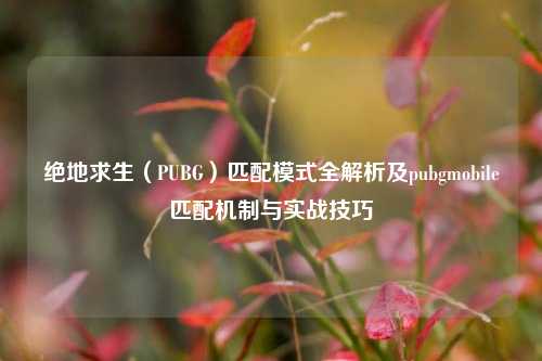 绝地求生(PUBG)匹配模式全解析及pubgmobile匹配机制与实战技巧