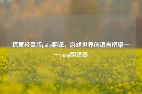探索轻量版pubg翻译,游戏世界的语言桥梁——pubg翻译器