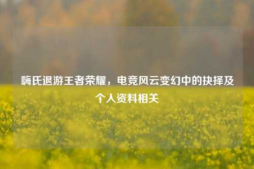 嗨氏退游王者荣耀，电竞风云变幻中的抉择及个人资料相关