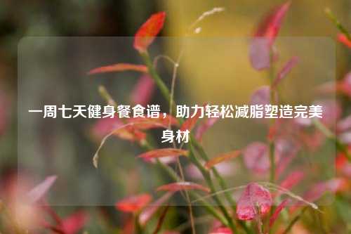 一周七天健身餐食谱,助力轻松减脂塑造完美身材