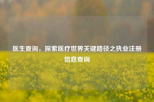 医生查询，探索医疗世界关键路径之执业注册信息查询