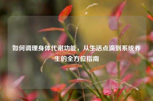 如何调理身体代谢功能,从生活点滴到系统养生的全方位指南