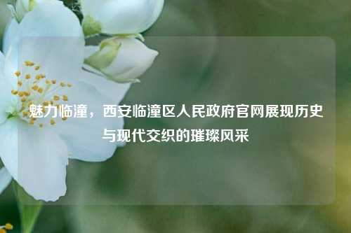 魅力临潼,西安临潼区人民政府官网展现历史与现代交织的璀璨风采