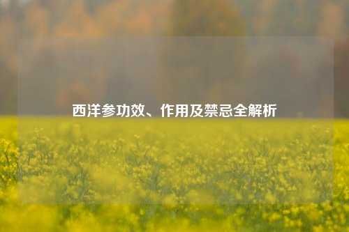 西洋参功效、作用及禁忌全解析