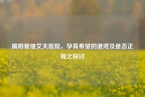 揭阳爱维艾夫医院，孕育希望的港湾及是否正规之探讨