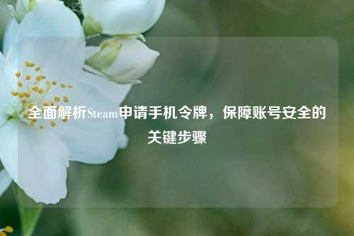 全面解析Steam申请手机令牌,保障账号安全的关键步骤