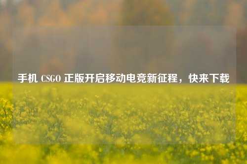 手机 CSGO 正版开启移动电竞新征程,快来下载