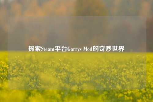 探索Steam平台Garrys Mod的奇妙世界