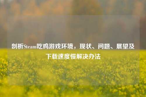 剖析Steam吃鸡游戏环境，现状、问题、展望及下载速度慢解决办法