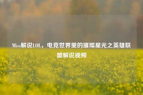 Miss解说LOL,电竞世界里的璀璨星光之英雄联盟解说视频