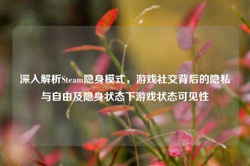 深入解析Steam隐身模式,游戏社交背后的隐私与自由及隐身状态下游戏状态可见性