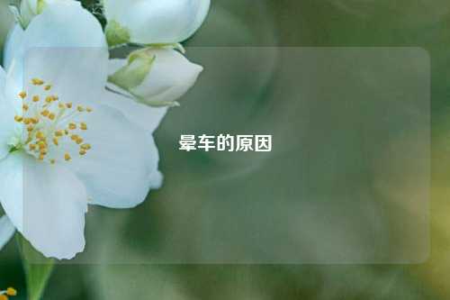 晕车的原因