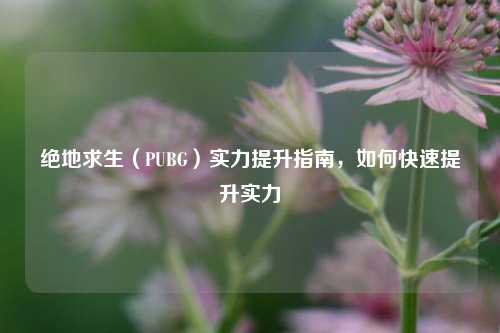 绝地求生(PUBG)实力提升指南,如何快速提升实力