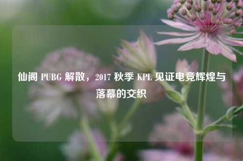 仙阁 PUBG 解散，2017 秋季 KPL 见证电竞辉煌与落幕的交织