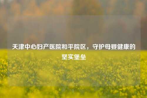 天津中心妇产医院和平院区，守护母婴健康的坚实堡垒