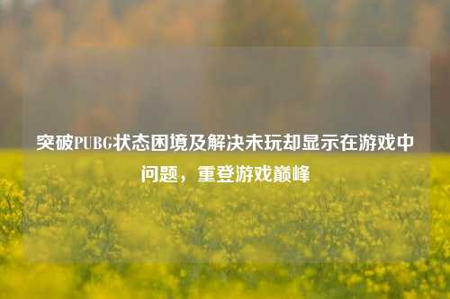 突破PUBG状态困境及解决未玩却显示在游戏中问题,重登游戏巅峰