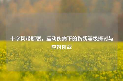 十字韧带断裂,运动伤痛下的伤残等级探讨与应对挑战