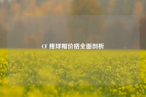 CF 棒球帽价格全面剖析
